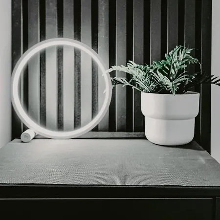 Apartment Minerva 637 - Studio *